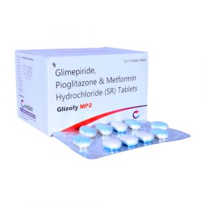 GLIZOFY MP2(2)